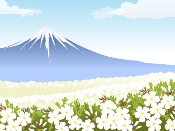 富士山と芝桜のイラストで末広がりをイメージ